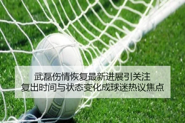 武磊伤情恢复最新进展引关注 复出时间与状态变化成球迷热议焦点